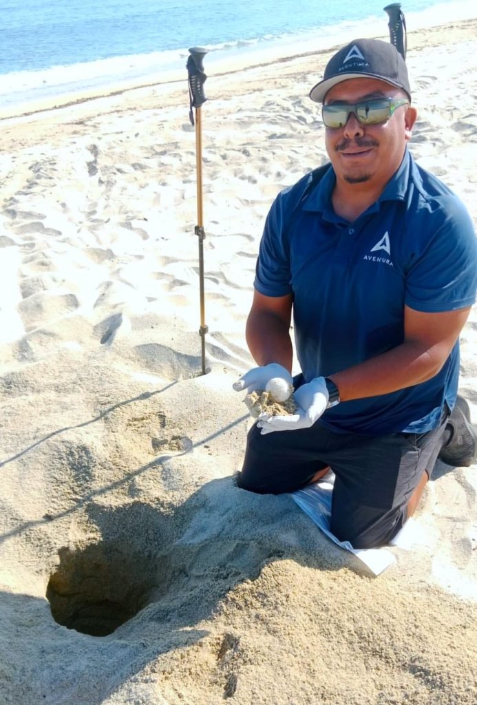 RESGUARDAN SEGUNDO NIDO TORTUGA LAÚD 1