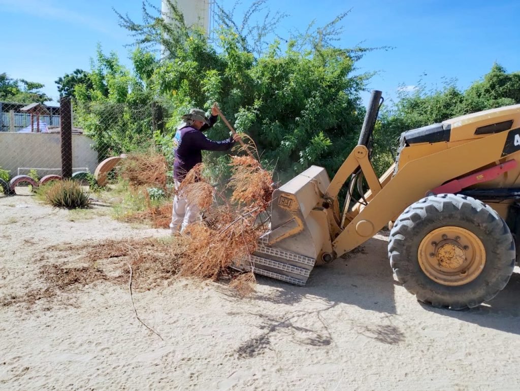 SERVICIOS PÚBLICOS LIMPIEZA Y RECUPERACIÓN DE ESPACIOS.docx 1