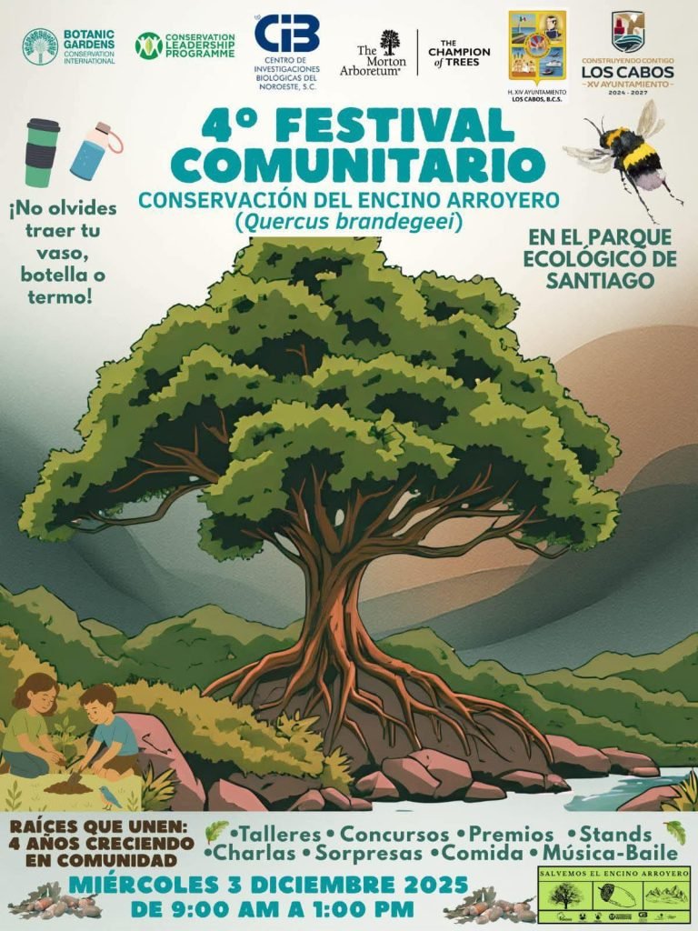 WhatsApp Image 2025-11-22 at 11.09.59 a.m.