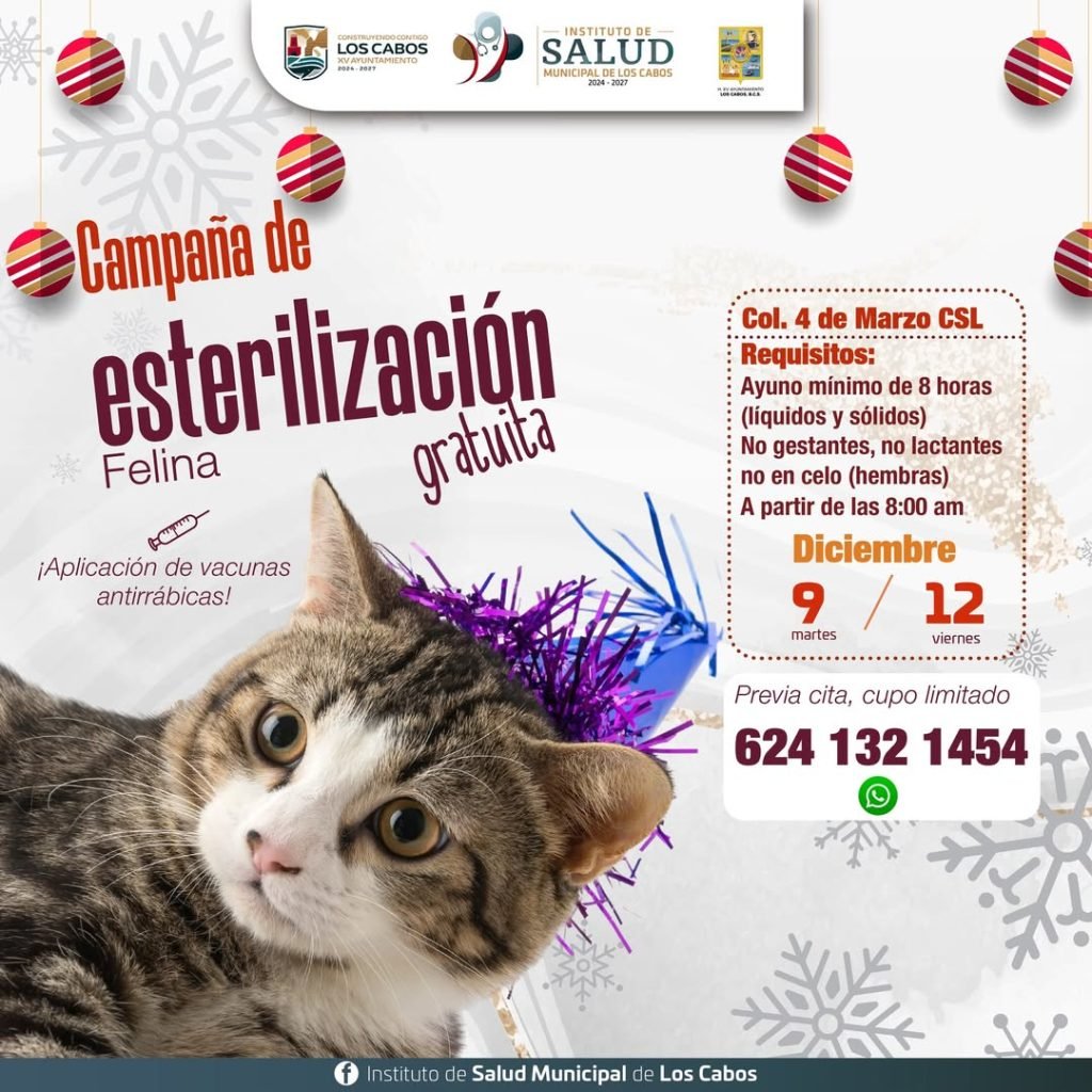 CAMPAÑA GRATUITA ESTERILIZACIÓN FELINA CSL