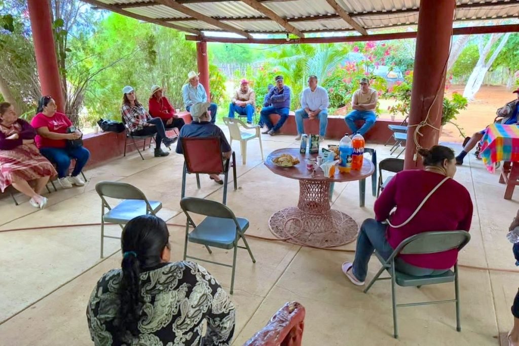 DESARROLLO SOCIAL HABITANTES EL SAUZAL CSL 1