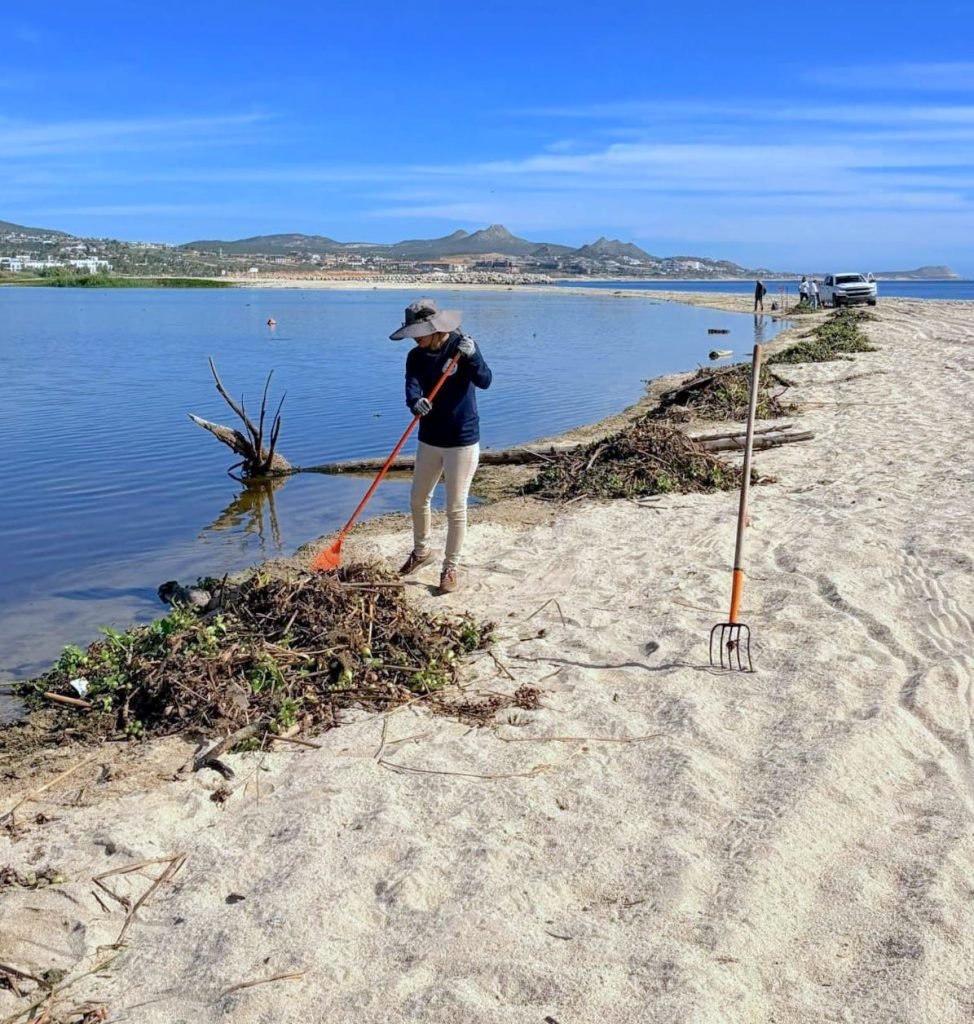 ECOLOGÍA ACCIONES PARA LA CONSERVACIÓN DEL ESTERO SJC 4