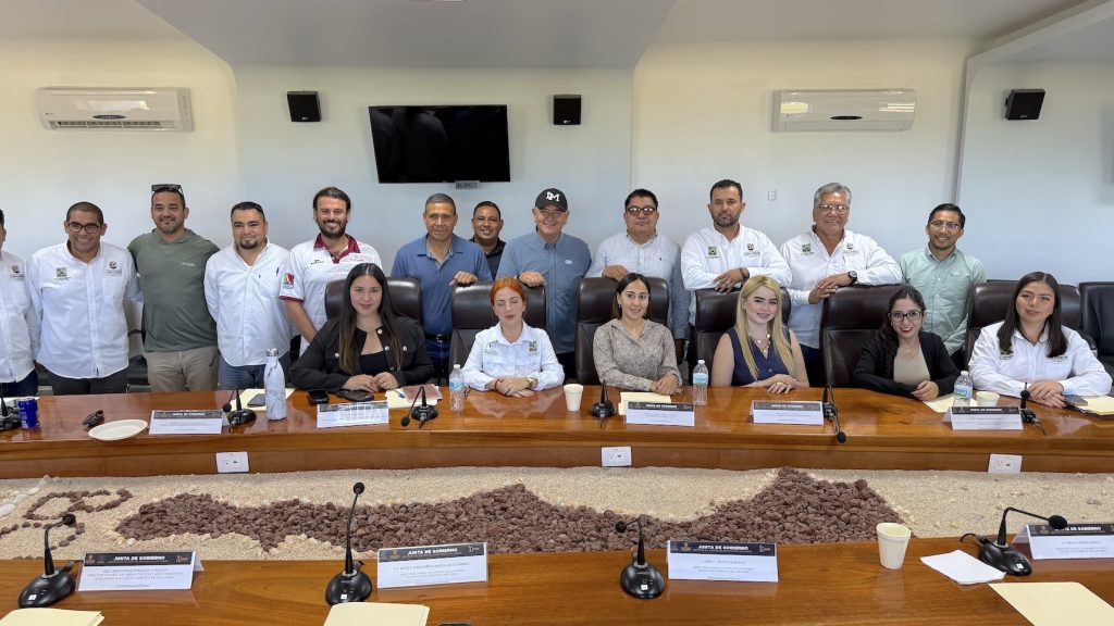 INDEM COMITÉ DE CONTROL Y DESEMPEÑO INSTITUCIONAL 1