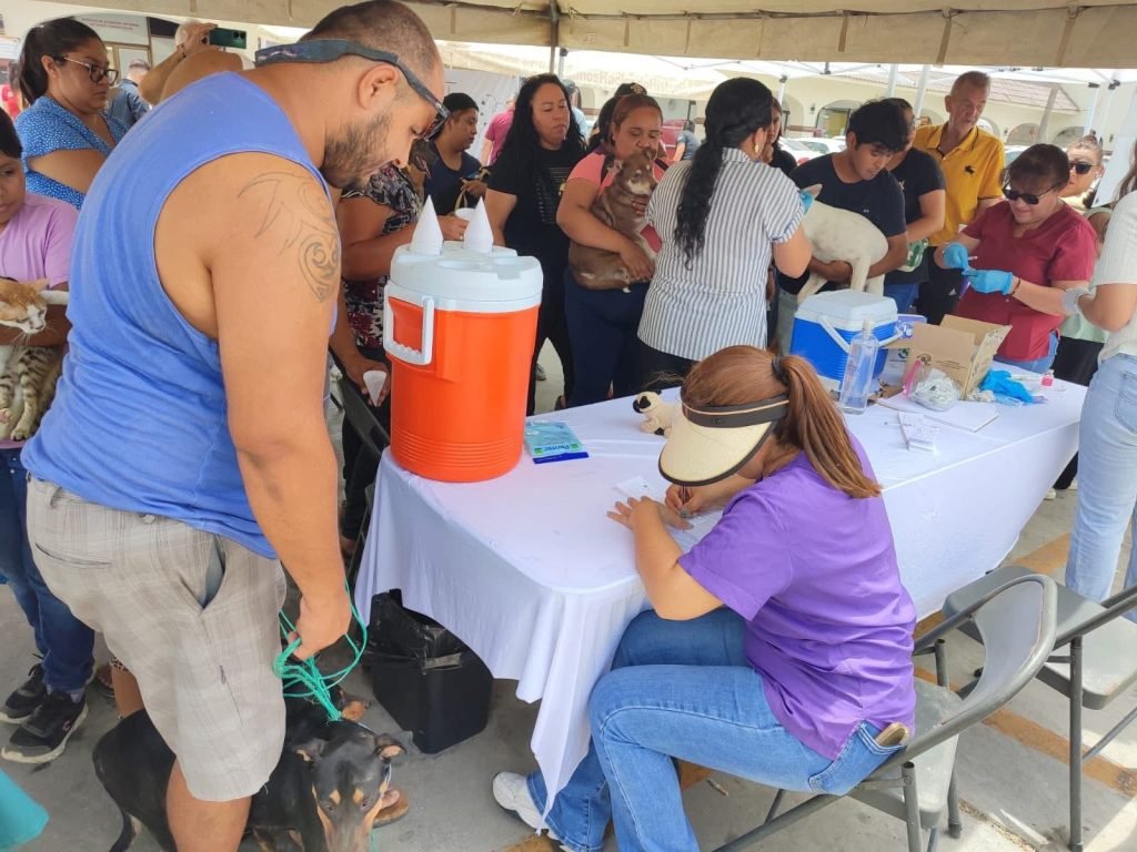 PROGRAMA PERMANENTE ESTERILIZACIÓN VACUNACIÓN LOS CABOS 1