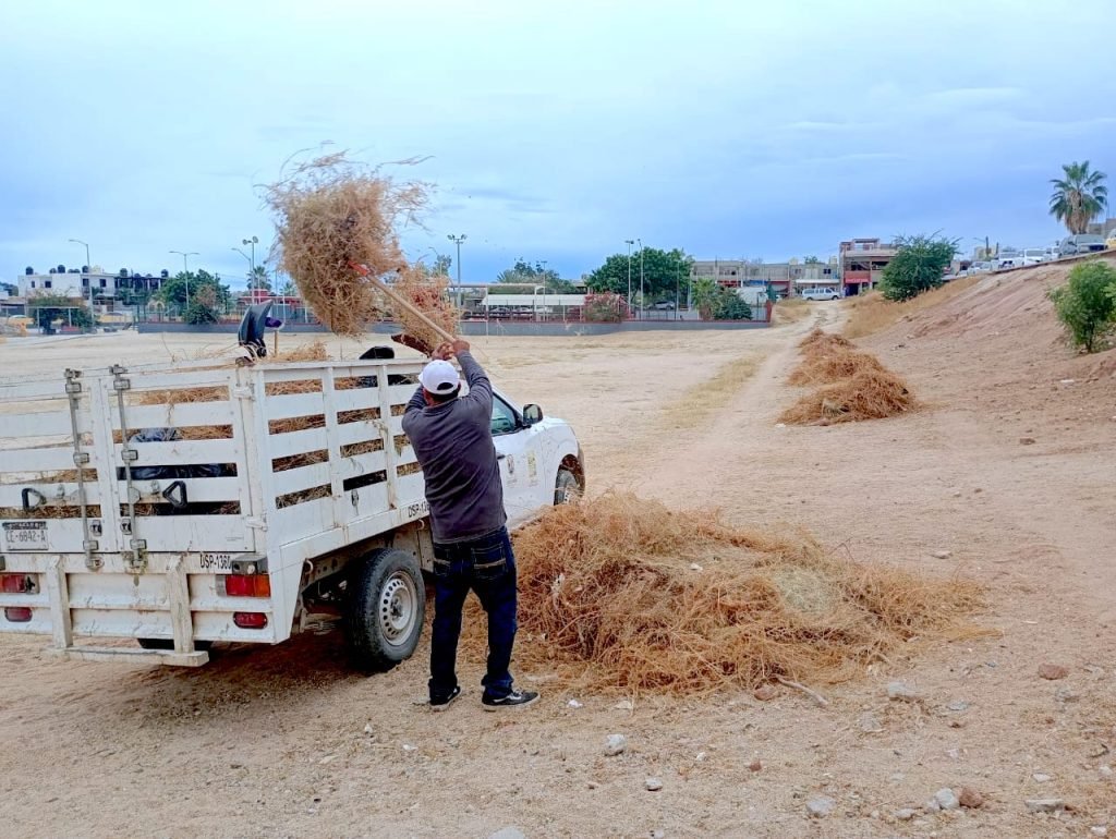 WhatsApp Image 2025-12-07 at 3.29.47 p.m.