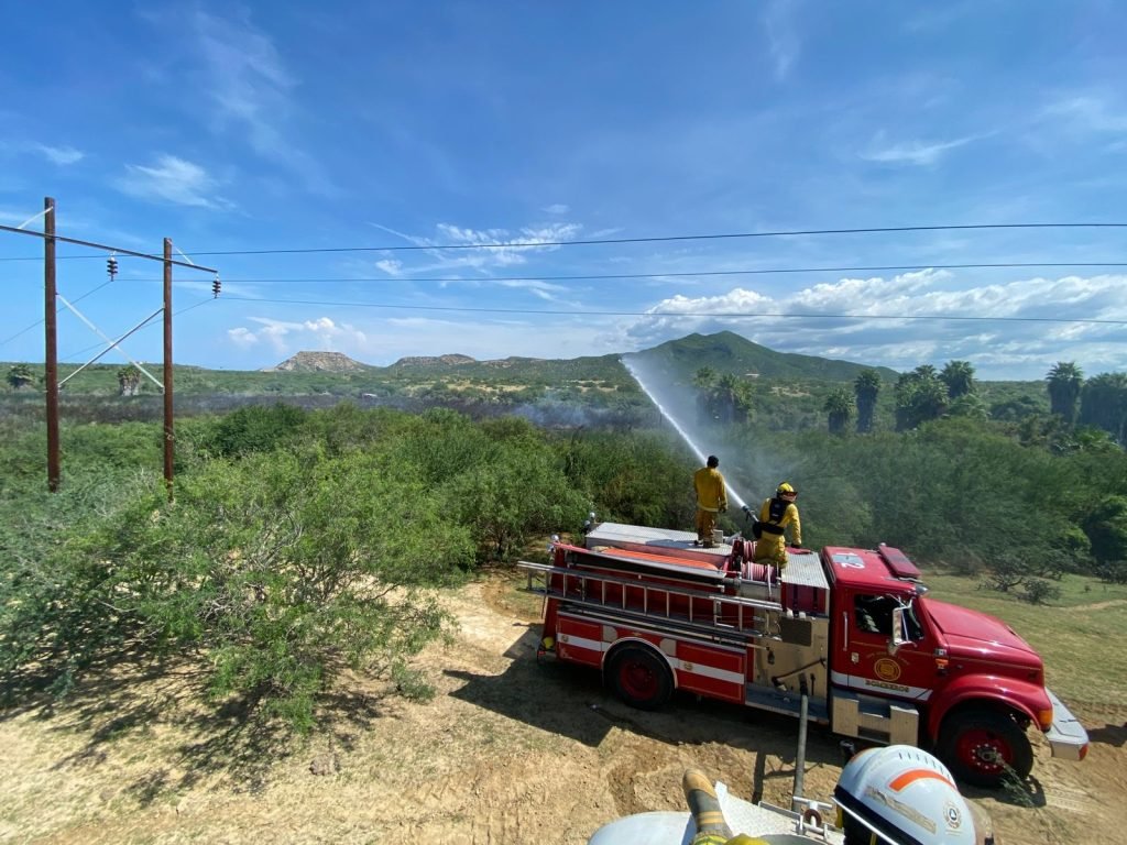 WhatsApp Image 2025-12-26 at 3.01.10 p.m.