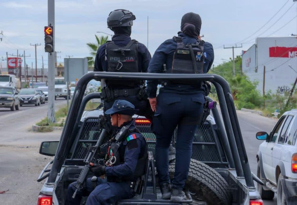 WhatsApp Image 2025-12-28 at 12.04.23 p.m.