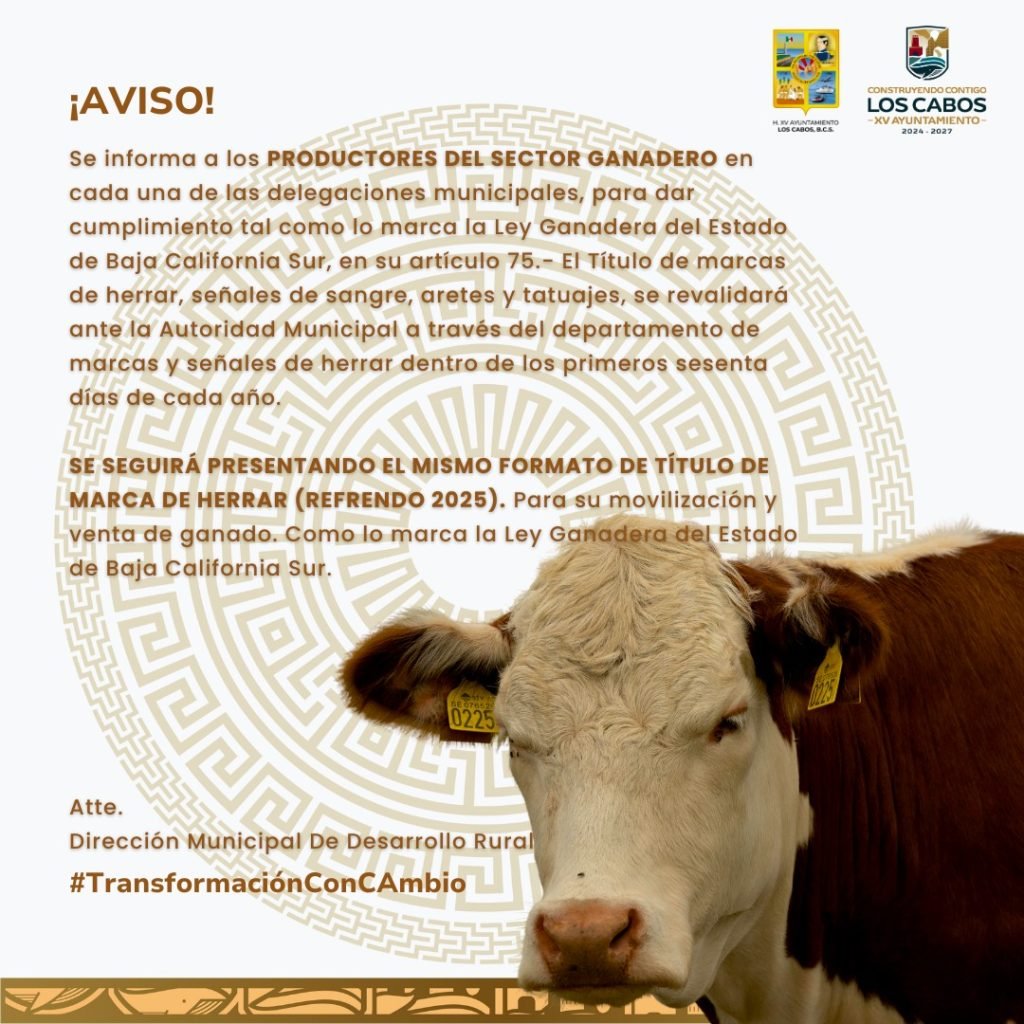 WhatsApp Image 2026-01-06 at 12.20.00 p.m.