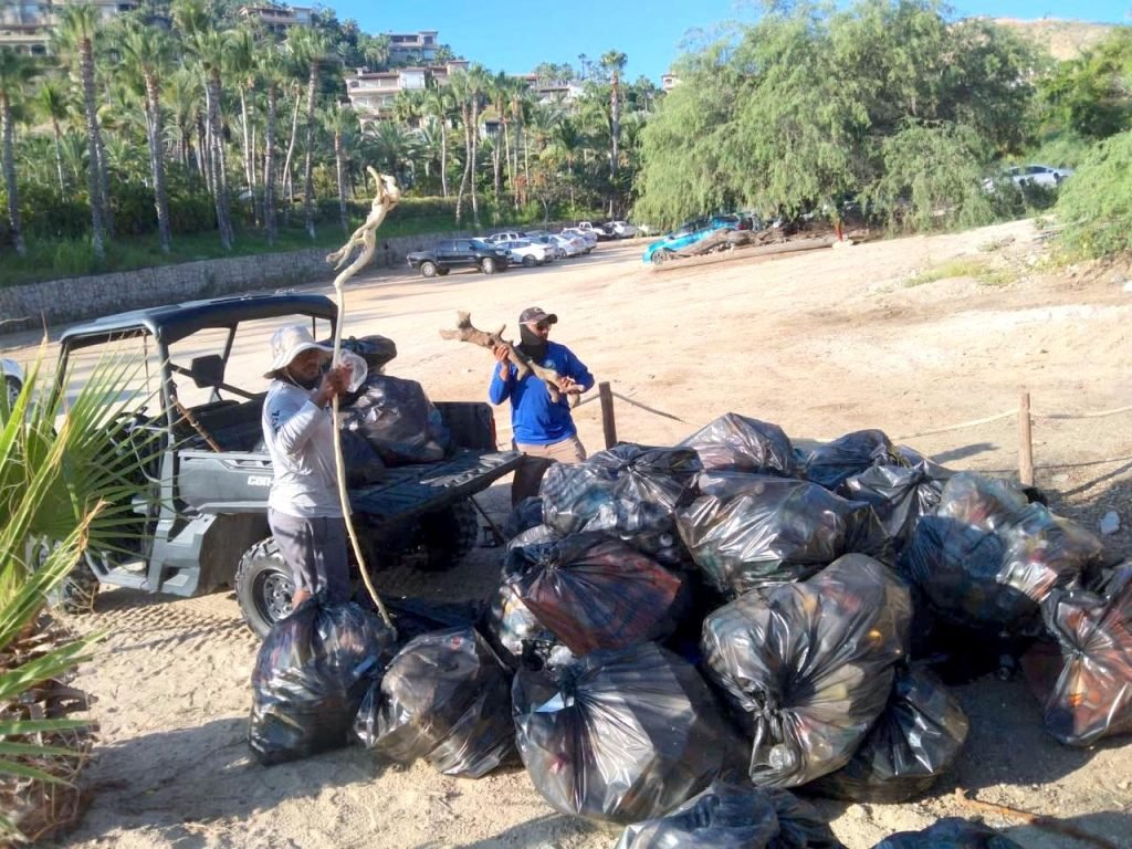 WhatsApp Image 2026-01-07 at 11.59.30 a.m. (1)