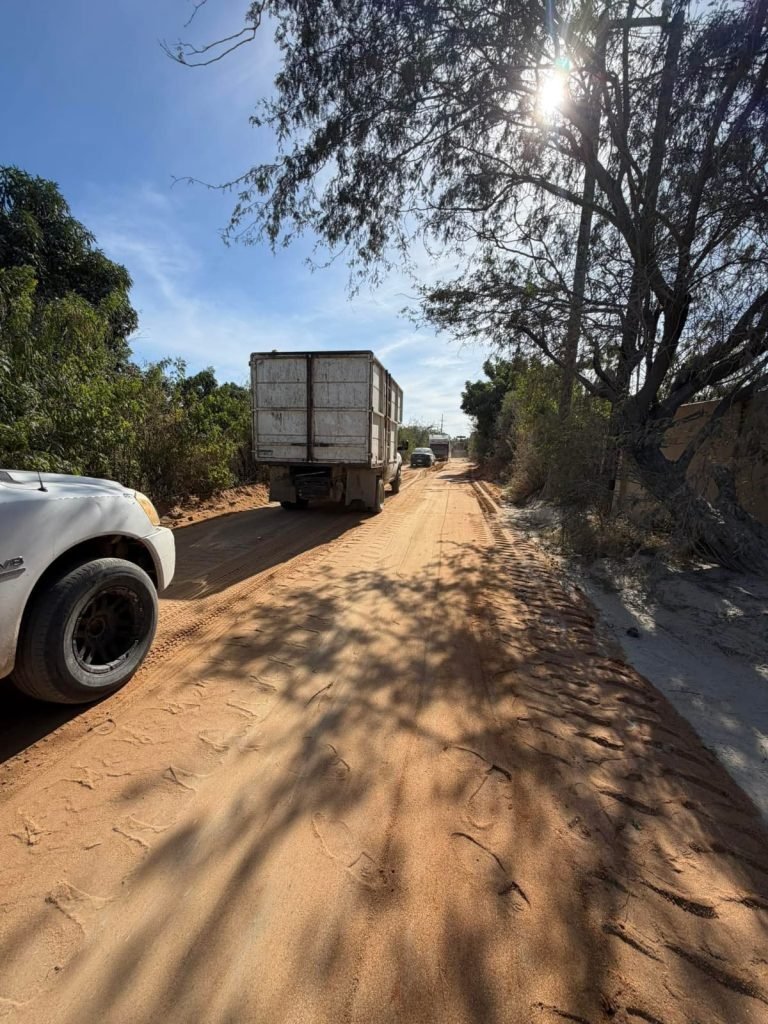 WhatsApp Image 2026-01-13 at 12.38.45 p.m. (1)