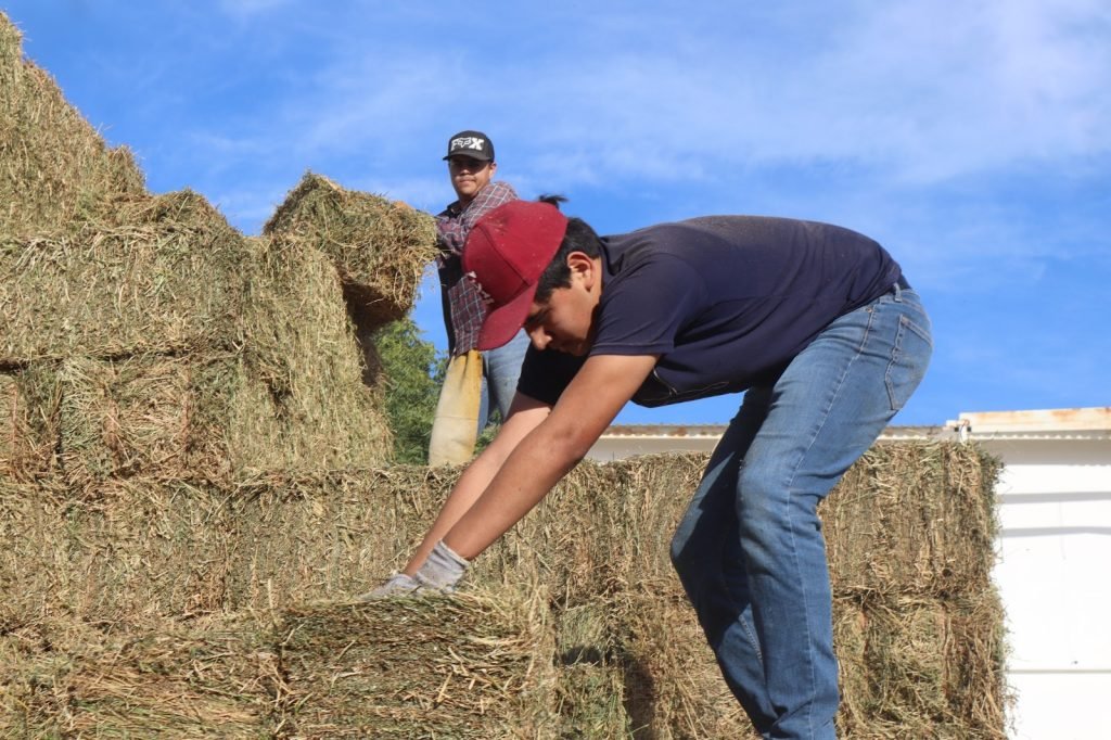 WhatsApp Image 2026-01-18 at 3.34.56 p.m. (1)