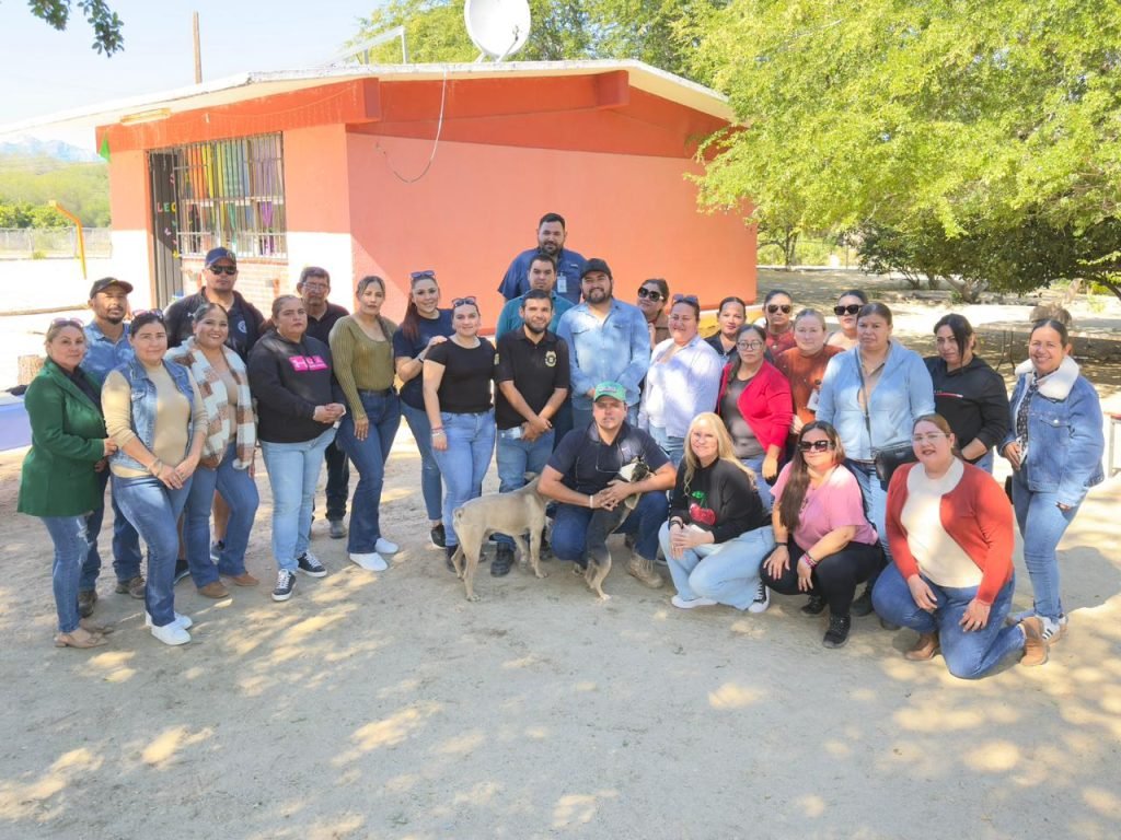 WhatsApp Image 2026-01-18 at 3.35.23 p.m.