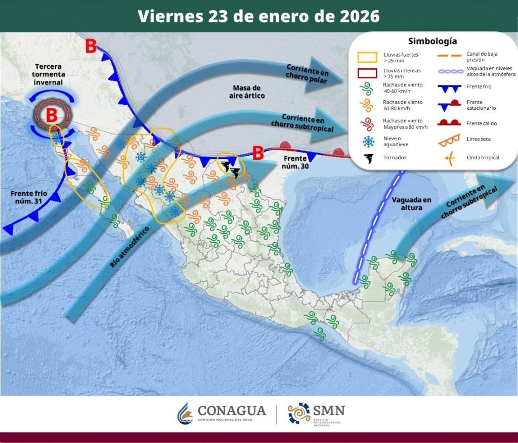 WhatsApp Image 2026-01-23 at 16.22.48