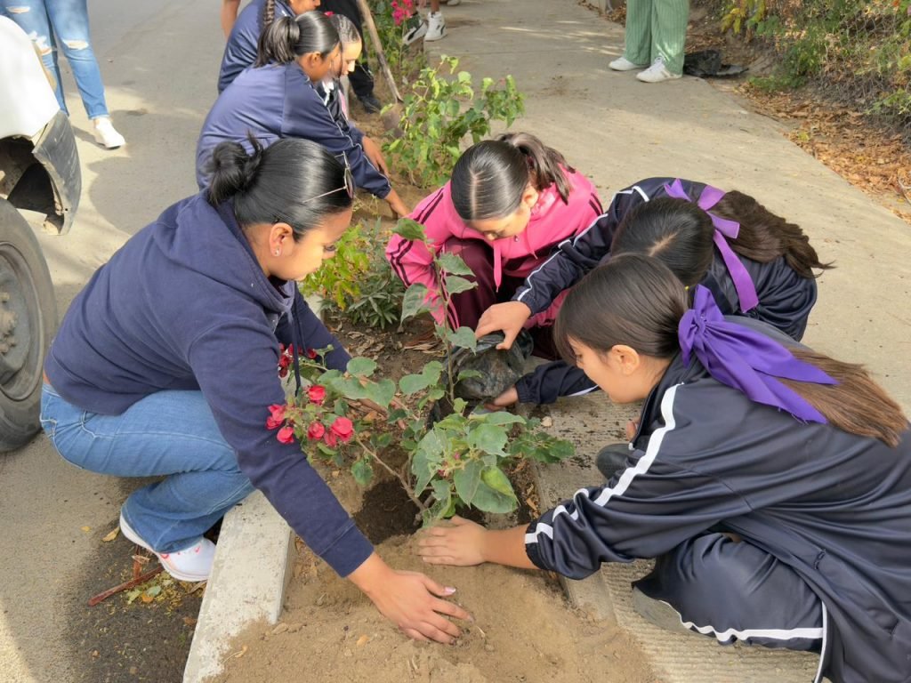 WhatsApp Image 2026-01-24 at 18.46.32