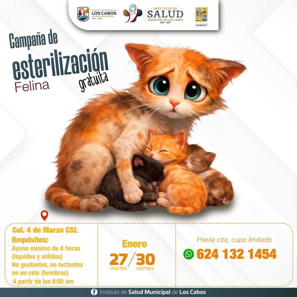 WhatsApp Image 2026-01-27 at 15.10.01