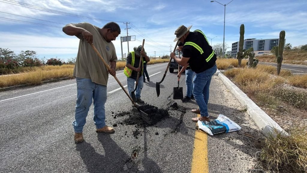 WhatsApp Image 2026-01-27 at 15.10.24