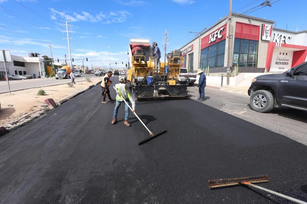 WhatsApp Image 2026-01-30 at 12.31.52