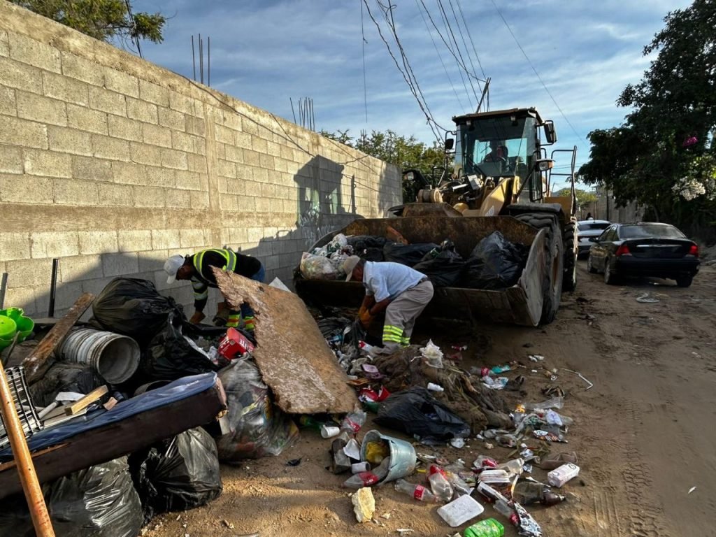 WhatsApp Image 2026-01-30 at 12.32.45