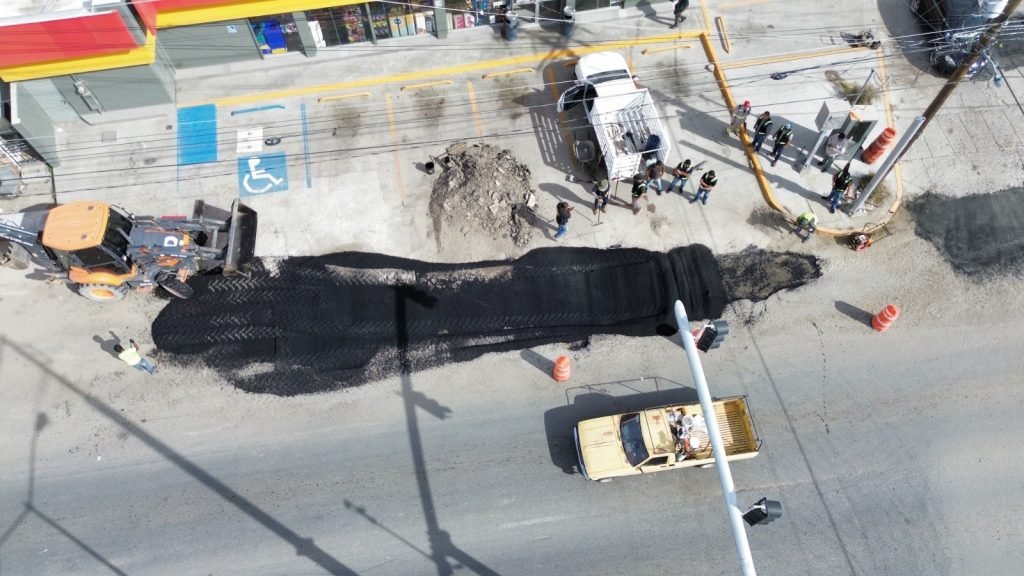 WhatsApp Image 2026-01-31 at 2.10.28 p.m.