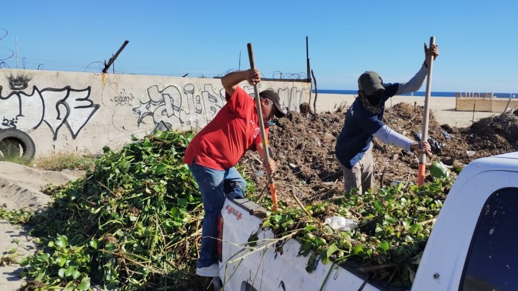 d8ace5ba-2976-4580-9c14-a7e058d3661c