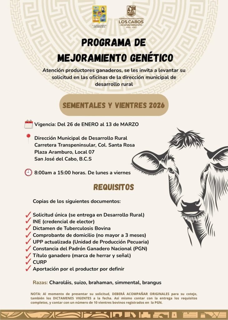 WhatsApp Image 2026-02-02 at 14.30.52