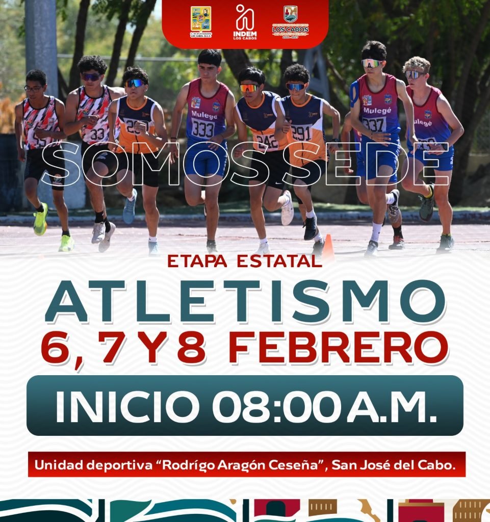 WhatsApp Image 2026-02-05 at 16.22.06