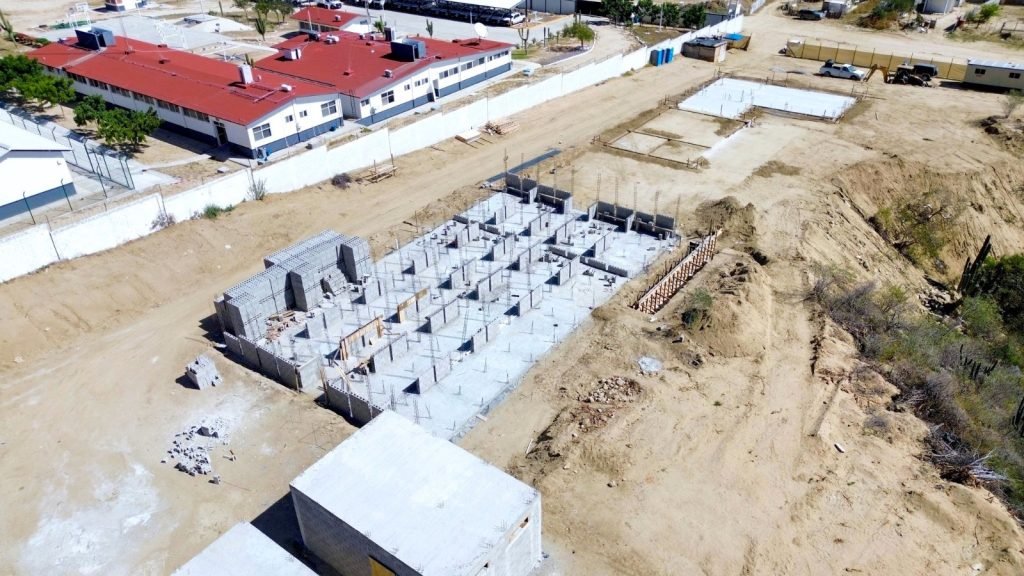 WhatsApp Image 2026-02-11 at 14.39.40