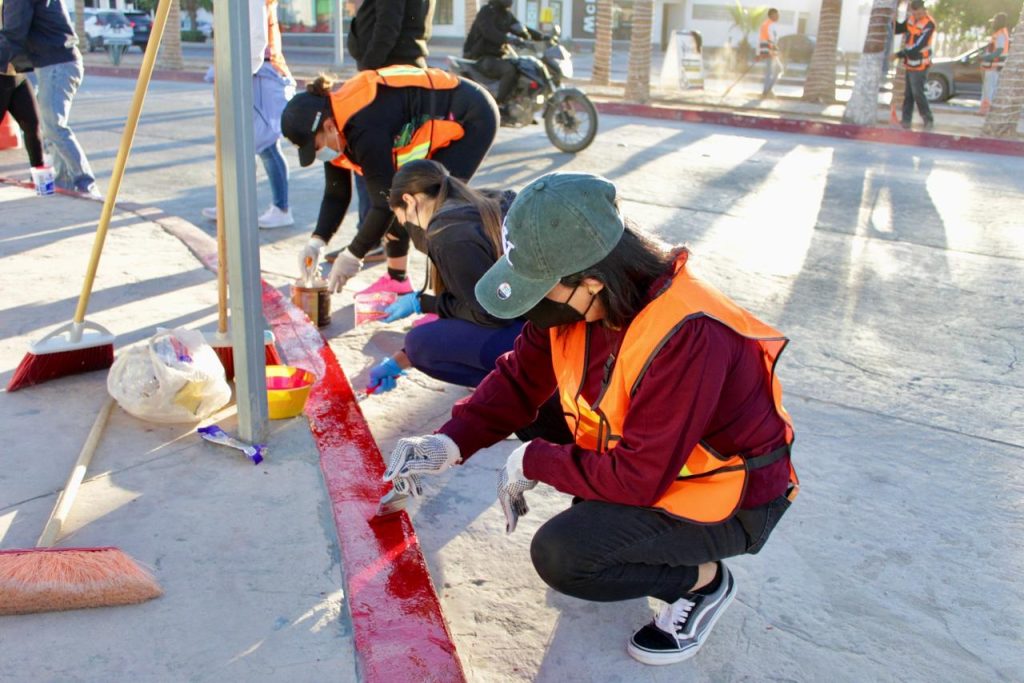 WhatsApp Image 2026-02-12 at 12.06.05