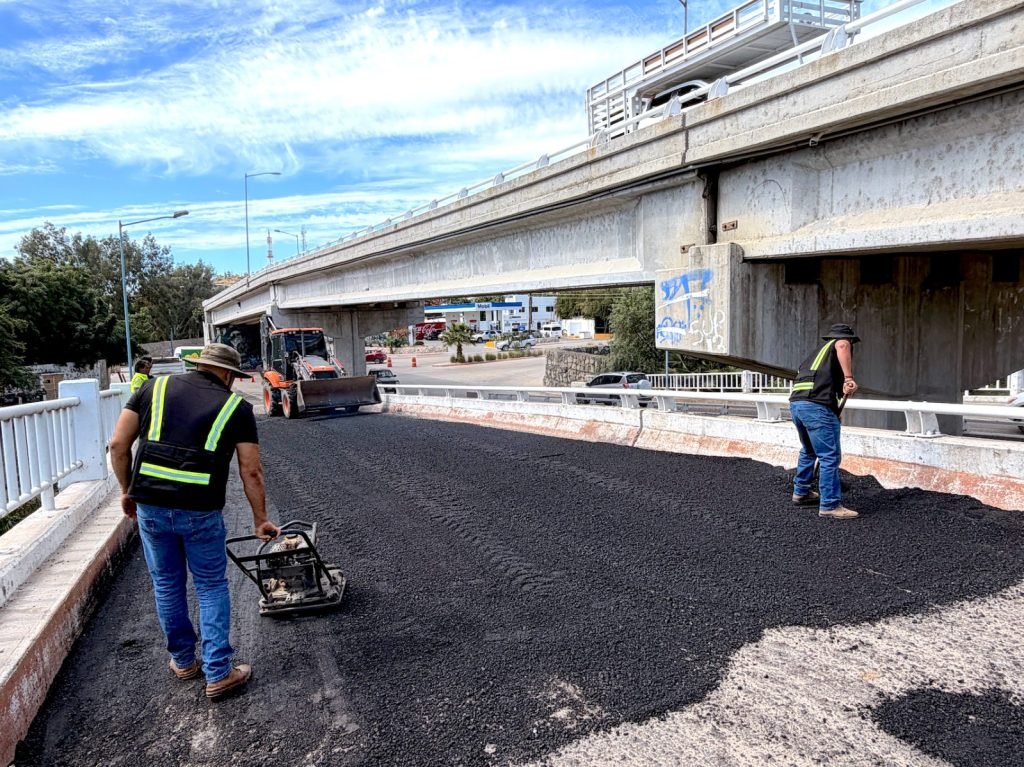 WhatsApp Image 2026-02-12 at 12.08.45