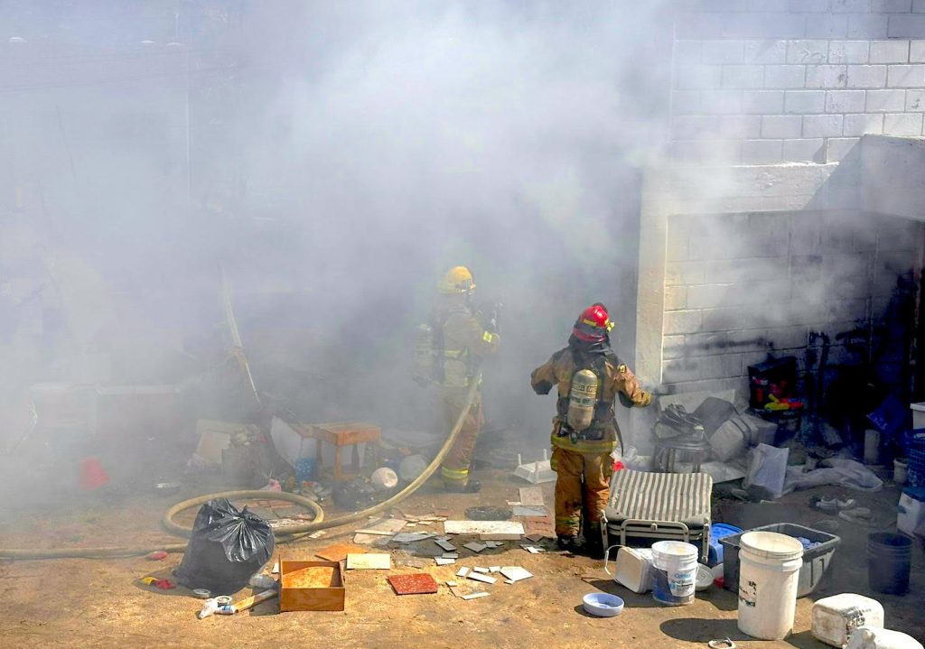 WhatsApp Image 2026-02-12 at 12.09.00