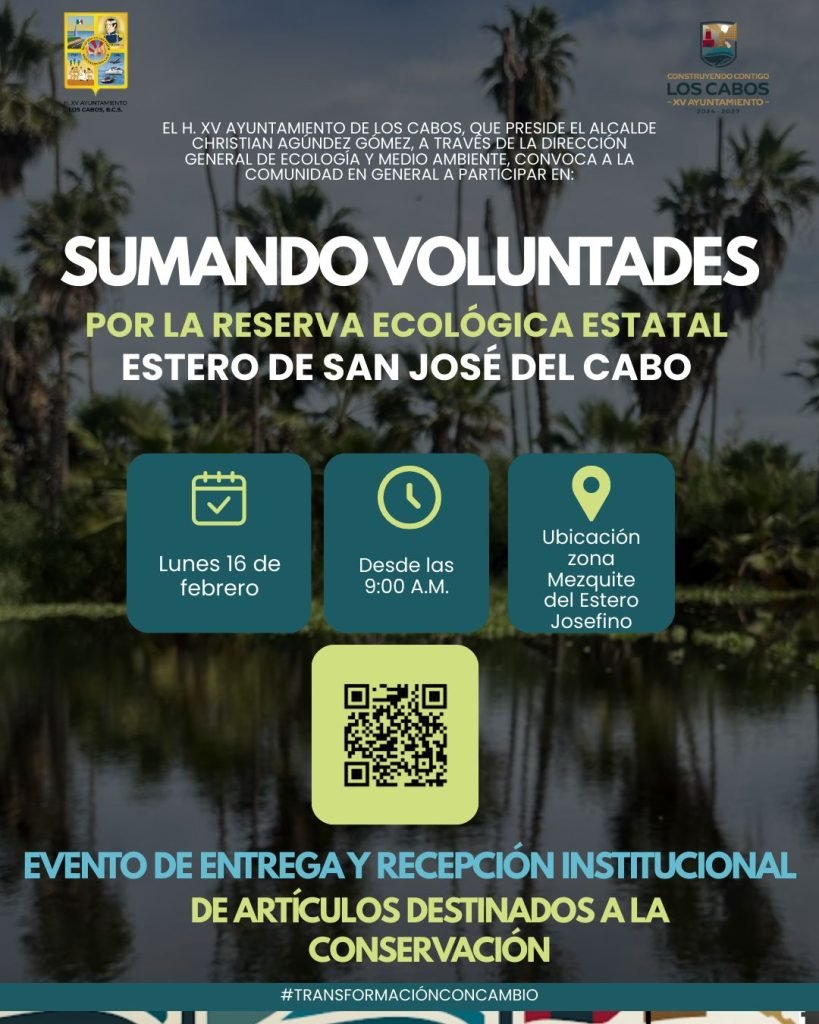 WhatsApp Image 2026-02-14 at 12.42.31 p.m.