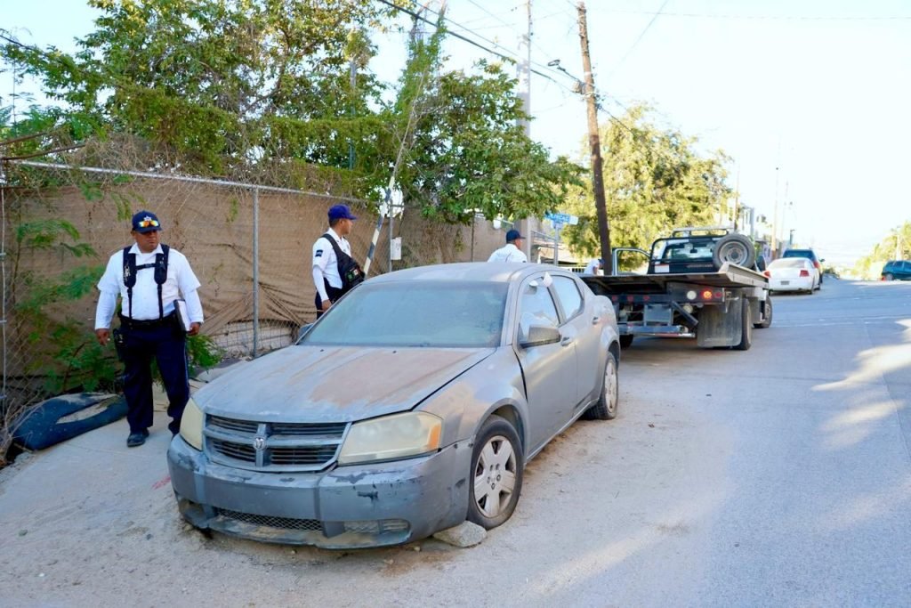 WhatsApp Image 2026-02-25 at 12.25.12 p.m.