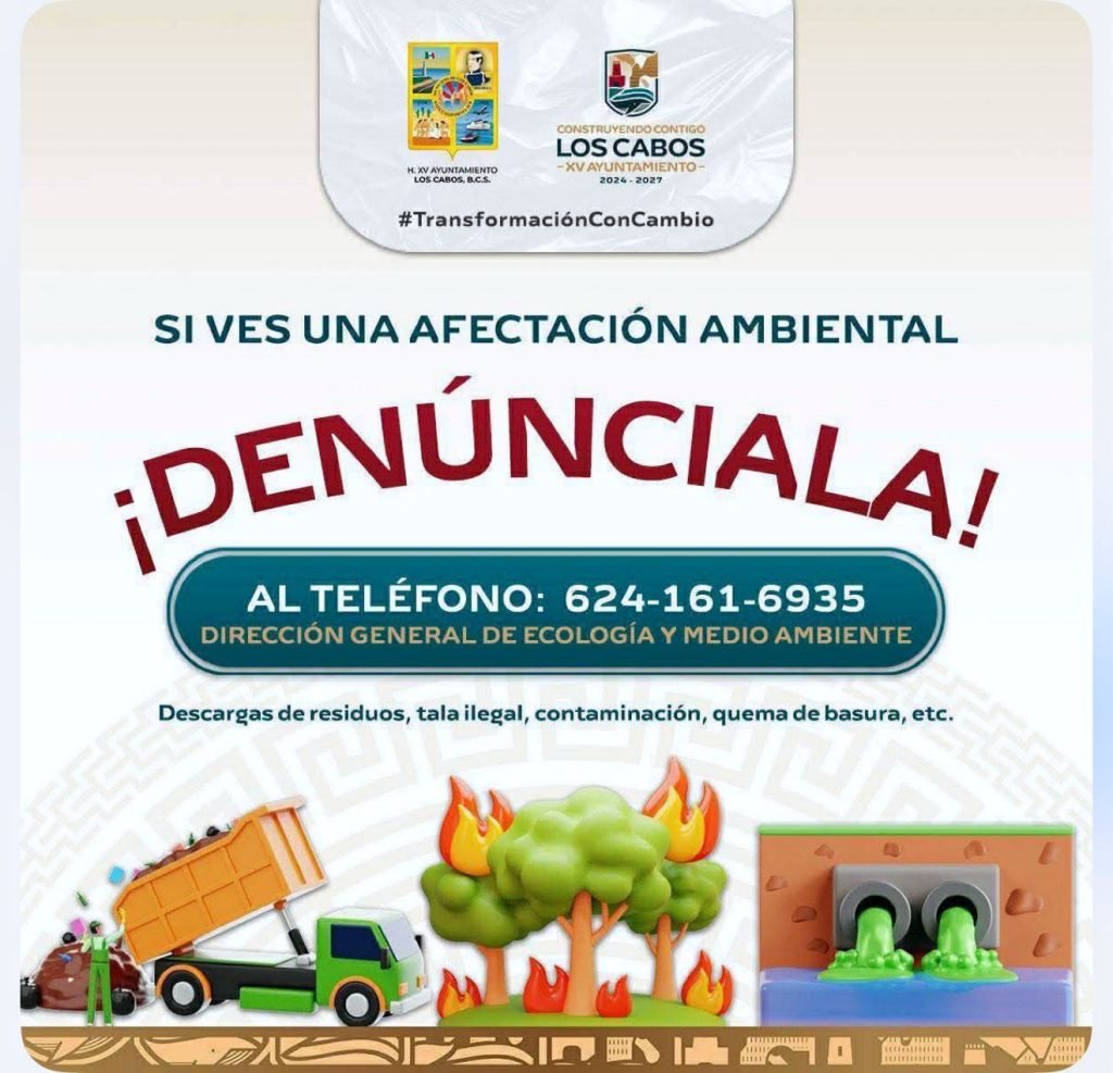 WhatsApp Image 2026-02-28 at 12.45.48 p.m.