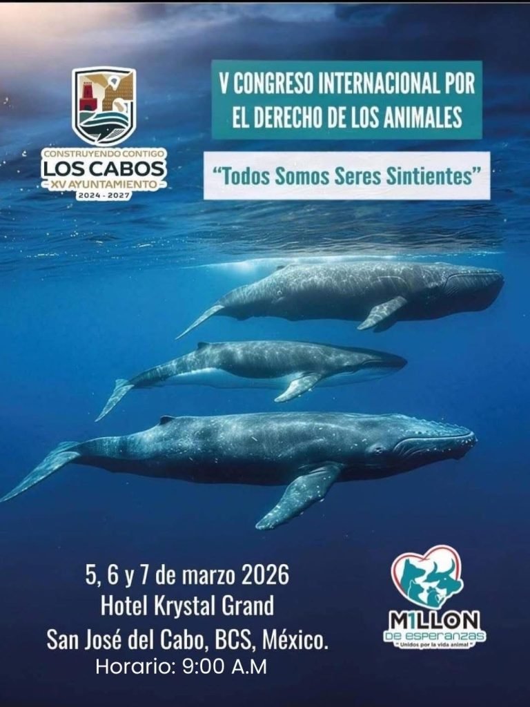 WhatsApp Image 2026-03-04 at 3.56.02 p.m.