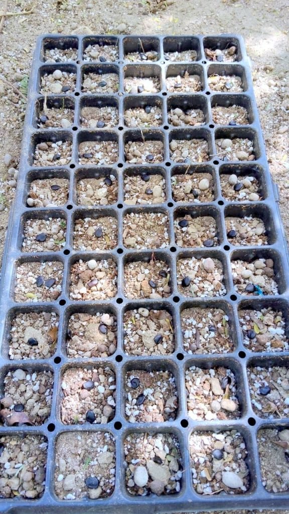 WhatsApp Image 2026-03-25 at 14.57.30