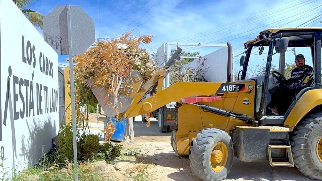 WhatsApp Image 2026-04-10 at 12.25.46