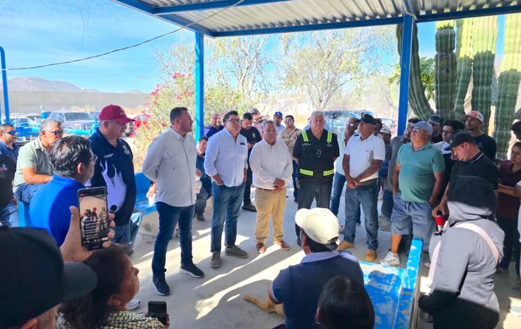 WhatsApp Image 2026-04-10 at 15.41.39 (1)