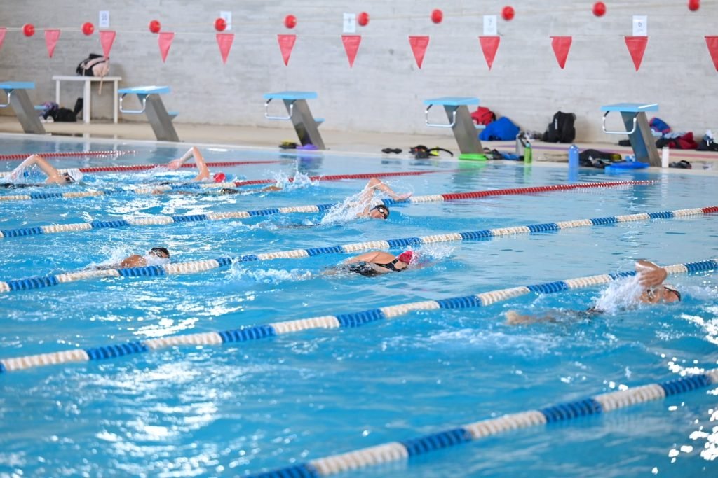 WhatsApp Image 2026-04-10 at 15.42.43