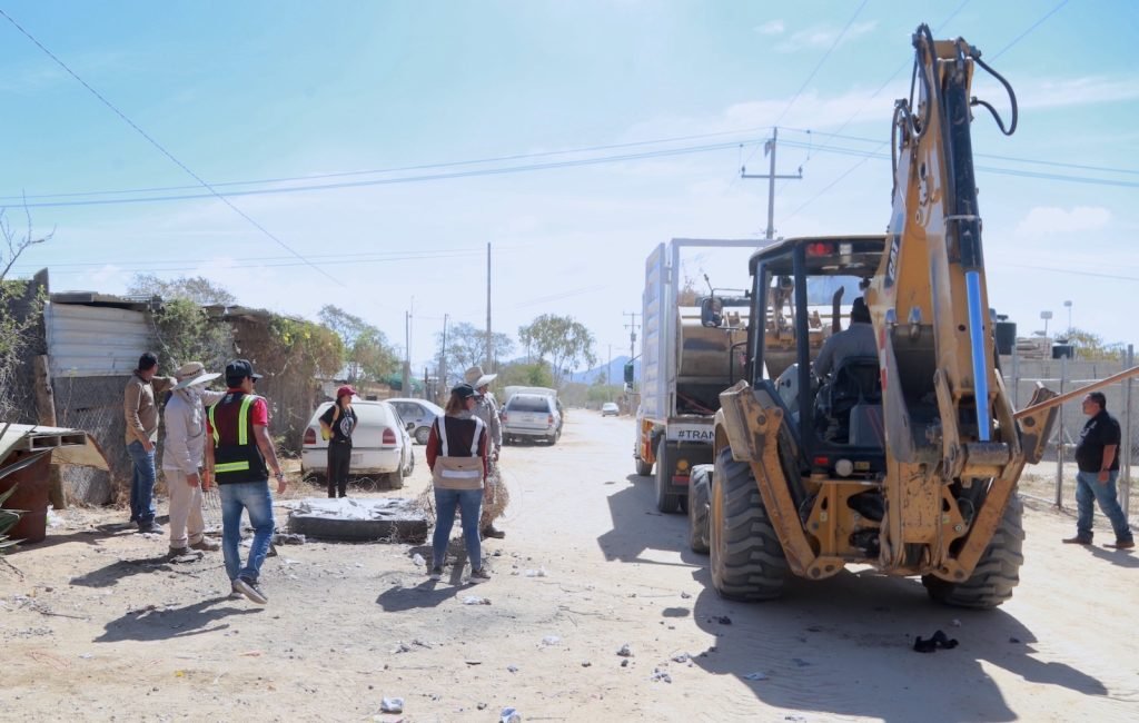 WhatsApp Image 2026-04-25 at 11.35.13