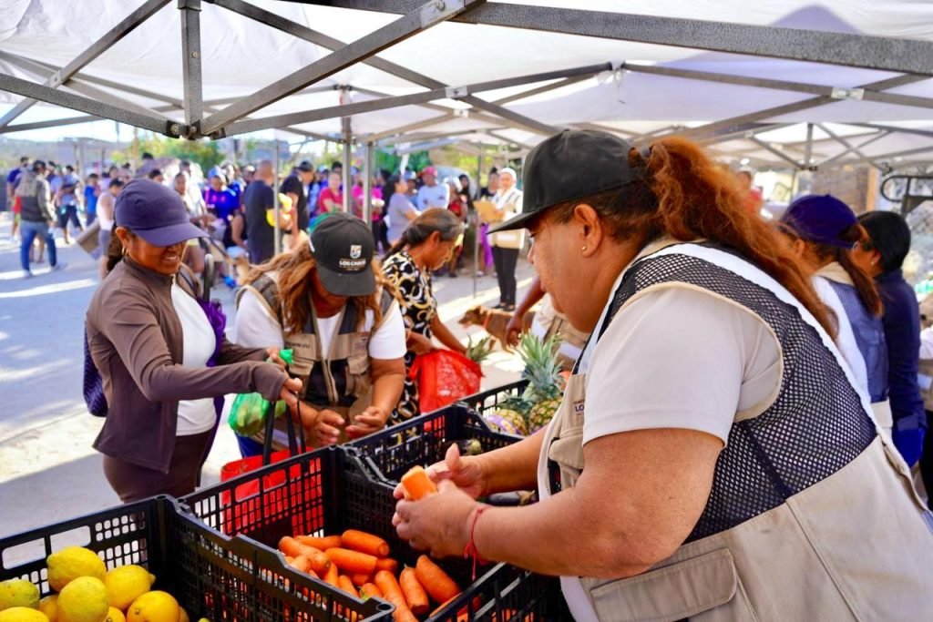 WhatsApp Image 2026-04-28 at 15.45.52 (1)